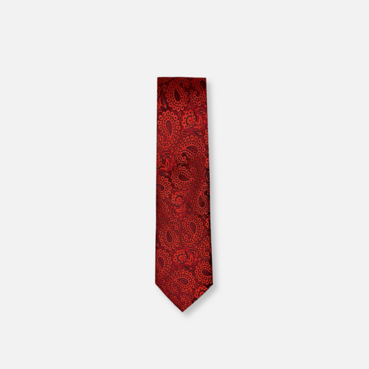 Darden Classic Paisley Tie