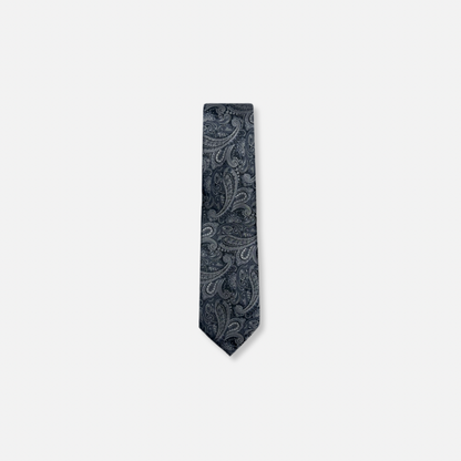 Bagwell Slim Paisley Tie - My Men's Shop