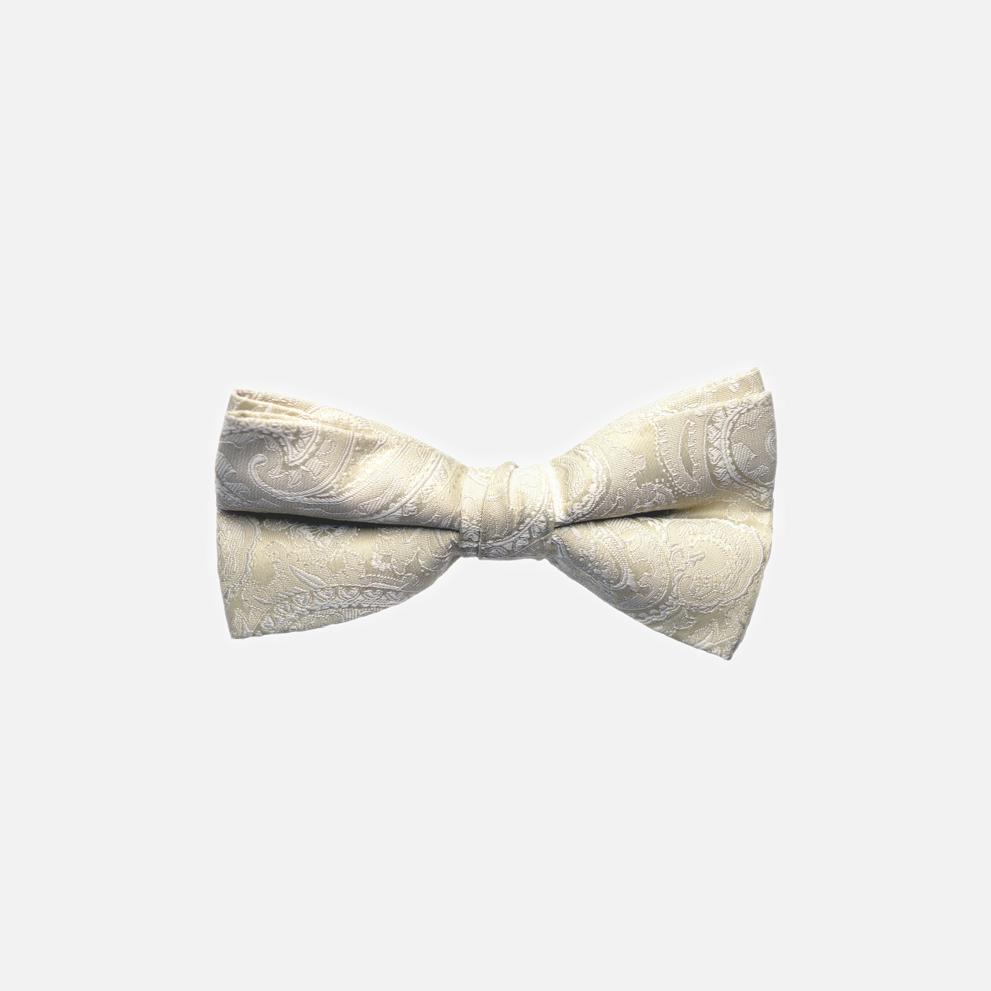 Stuart Paisley Bow Tie