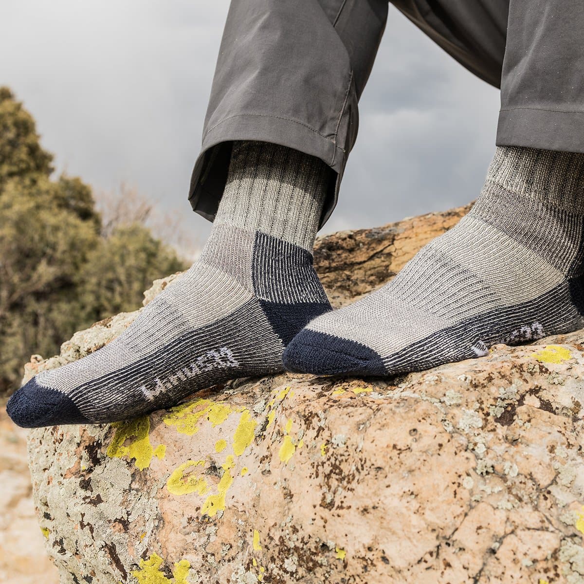 Midweight - Day Hiker Crew Socks